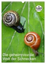 Die geheimnisvolle Welt der Schnecken (Wandkalender 2026 DIN A3 hoch), CALVENDO Monatskalender
