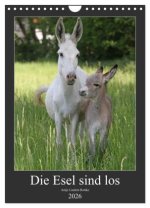 Die Esel sind los (Wandkalender 2026 DIN A4 hoch), CALVENDO Monatskalender
