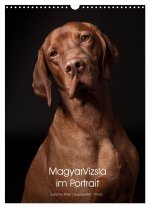 Magyar Vizsla im Portrait (Wandkalender 2026 DIN A3 hoch), CALVENDO Monatskalender