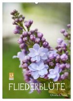 Fliederblüte (Wandkalender 2026 DIN A2 hoch), CALVENDO Monatskalender