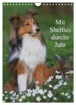 Mit Shelties durchs Jahr (Wandkalender 2026 DIN A4 hoch), CALVENDO Monatskalender
