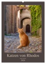 Katzen von Rhodos (Wandkalender 2026 DIN A2 hoch), CALVENDO Monatskalender