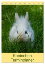 Kaninchen Terminplaner (Tischkalender 2026 DIN A5 hoch), CALVENDO Monatskalender