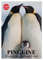 Pinguine. Wackeln im Thermo-Frack (Wandkalender 2026 DIN A2 hoch), CALVENDO Monatskalender