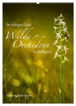 Im richtigen Licht: Wilde Orchideen in Südbayern (Wandkalender 2026 DIN A2 hoch), CALVENDO Monatskalender