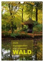 Impressionen aus unserem Wald (Wandkalender 2026 DIN A4 hoch), CALVENDO Monatskalender