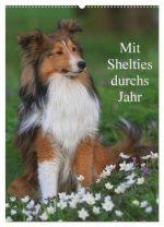Mit Shelties durchs Jahr (Wandkalender 2026 DIN A2 hoch), CALVENDO Monatskalender