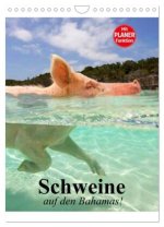 Schweine auf den Bahamas! (Wandkalender 2026 DIN A4 hoch), CALVENDO Monatskalender