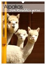 Alpakas zum Knuddeln gerne (Wandkalender 2026 DIN A3 hoch), CALVENDO Monatskalender