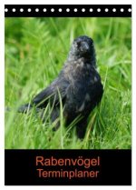 Rabenvögel Terminplaner (Tischkalender 2026 DIN A5 hoch), CALVENDO Monatskalender