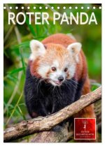 Roter Panda (Tischkalender 2026 DIN A5 hoch), CALVENDO Monatskalender