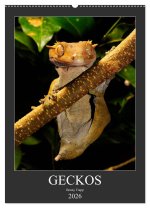 GECKOS (Wandkalender 2026 DIN A2 hoch), CALVENDO Monatskalender