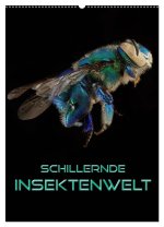 Schillernde Insektenwelt (Wandkalender 2026 DIN A2 hoch), CALVENDO Monatskalender