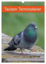 Tauben Terminplaner (Wandkalender 2026 DIN A3 hoch), CALVENDO Monatskalender