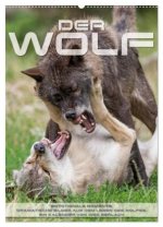 Emotionale Momente: Der Wolf. (Wandkalender 2026 DIN A2 hoch), CALVENDO Monatskalender