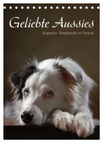 Geliebte Aussies - Australian Shepherds im Portrait (Tischkalender 2026 DIN A5 hoch), CALVENDO Monatskalender