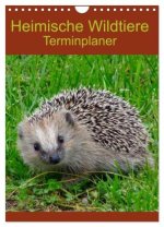 Heimische Wildtiere Terminplaner (Wandkalender 2026 DIN A4 hoch), CALVENDO Monatskalender