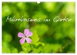 Mikrokosmos im Garten (Wandkalender 2026 DIN A3 quer), CALVENDO Monatskalender