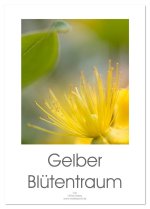 Gelber Blütentraum (Tischkalender 2026 DIN A5 hoch), CALVENDO Monatskalender