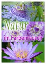 Natur im Farbenrausch (Wandkalender 2026 DIN A2 hoch), CALVENDO Monatskalender