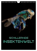 Schillernde Insektenwelt (Wandkalender 2026 DIN A4 hoch), CALVENDO Monatskalender