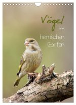Vögel im heimischen Garten (Wandkalender 2026 DIN A4 hoch), CALVENDO Monatskalender