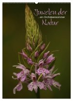 Juwelen der Natur - Ein Orchideensommer (Wandkalender 2026 DIN A2 hoch), CALVENDO Monatskalender