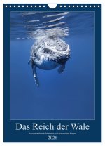 Im Reich der Wale (Wandkalender 2026 DIN A4 hoch), CALVENDO Monatskalender