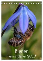 Bienen-Terminplaner 2026 (Tischkalender 2026 DIN A5 hoch), CALVENDO Monatskalender