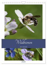 Wildbienen-Terminplaner 2026 (Wandkalender 2026 DIN A4 hoch), CALVENDO Monatskalender