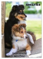 SHELTIES Herzensbrecher auf 4 Pfoten (Wandkalender 2026 DIN A3 hoch), CALVENDO Monatskalender