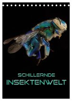 Schillernde Insektenwelt (Tischkalender 2026 DIN A5 hoch), CALVENDO Monatskalender