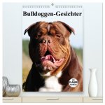 Bulldoggen-Gesichter (hochwertiger Premium Wandkalender 2026 DIN A2 hoch), Kunstdruck in Hochglanz