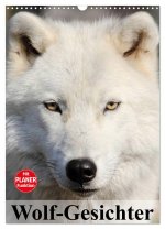 Wolf-Gesichter (Wandkalender 2026 DIN A3 hoch), CALVENDO Monatskalender