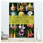 Brugmansia & Datura - Exotische Schönheiten (hochwertiger Premium Wandkalender 2026 DIN A2 hoch), Kunstdruck in Hochglanz