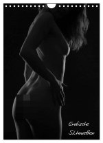 Erotische Silhouetten / CH-Version (Wandkalender 2026 DIN A4 hoch), CALVENDO Monatskalender