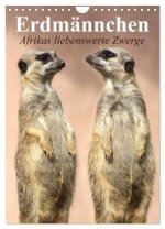 Erdmännchen - Afrikas liebenswerte Zwerge (Wandkalender 2026 DIN A4 hoch), CALVENDO Monatskalender