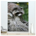 Waschbären Familienplaner (hochwertiger Premium Wandkalender 2026 DIN A2 hoch), Kunstdruck in Hochglanz