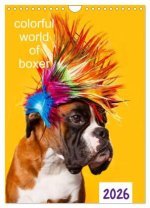 colorful world of boxer 2026 (Wandkalender 2026 DIN A4 hoch), CALVENDO Monatskalender