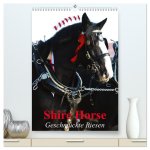 Shire Horse - Geschmückte Riesen (hochwertiger Premium Wandkalender 2026 DIN A2 hoch), Kunstdruck in Hochglanz