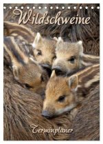 Wildschweine (Tischkalender 2026 DIN A5 hoch), CALVENDO Monatskalender