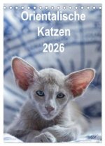 Orientalische Katzen 2026 (Tischkalender 2026 DIN A5 hoch), CALVENDO Monatskalender