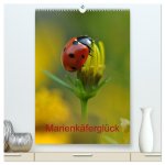Marienkäferglück (hochwertiger Premium Wandkalender 2026 DIN A2 hoch), Kunstdruck in Hochglanz