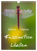 Faszination Libellen - Wildnis Heimat (Wandkalender 2026 DIN A4 hoch), CALVENDO Monatskalender