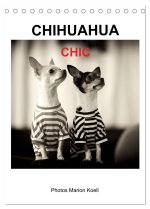 CHIHUAHUA CHIC Photos Marion Koell (Tischkalender 2026 DIN A5 hoch), CALVENDO Monatskalender