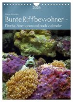 Bunte Riffbewohner - Fische, Anemonen und noch viel mehr (Wandkalender 2026 DIN A4 hoch), CALVENDO Monatskalender