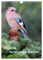 Vögel im heimischen Garten (Wandkalender 2026 DIN A4 hoch), CALVENDO Monatskalender