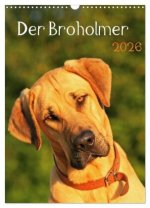Der Broholmer (Wandkalender 2026 DIN A3 hoch), CALVENDO Monatskalender