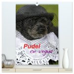 Pudel en vogue (hochwertiger Premium Wandkalender 2026 DIN A2 hoch), Kunstdruck in Hochglanz