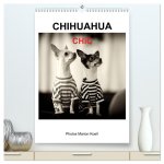 CHIHUAHUA CHIC Photos Marion Koell (hochwertiger Premium Wandkalender 2026 DIN A2 hoch), Kunstdruck in Hochglanz